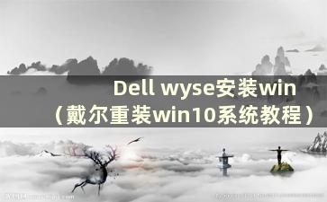 Dell wyse安装win（戴尔重装win10系统教程）